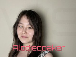 Alodiecoaker