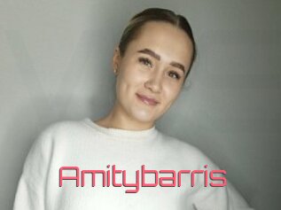 Amitybarris