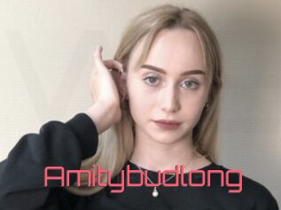 Amitybudlong