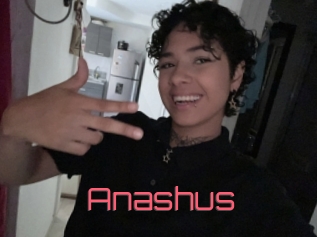 Anashus