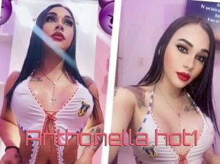 Anthonella_hot1