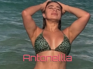 Antonellla