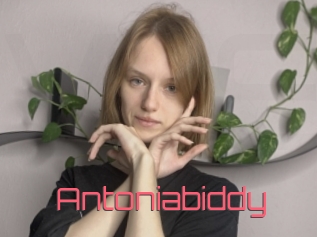 Antoniabiddy