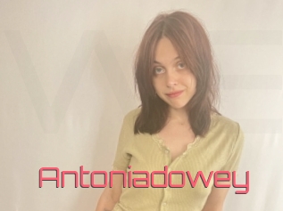 Antoniadowey