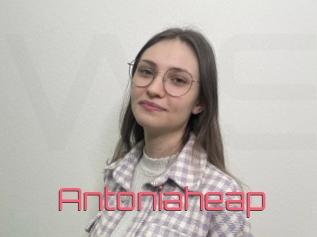 Antoniaheap