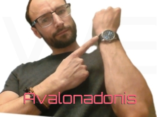 Avalonadonis