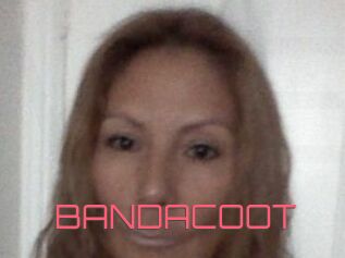 BANDACOOT