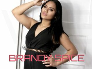 BRANDY_SPICE