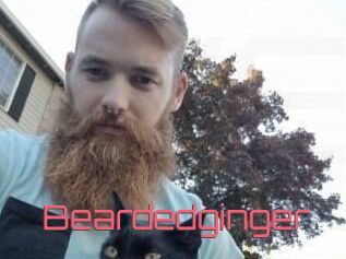 Beardedginger