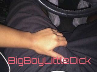 BigBoyLittleDick