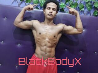 BlackBodyX