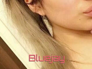 Blue_jay