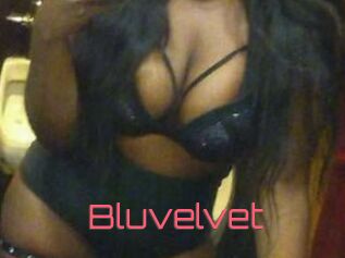 Bluvelvet