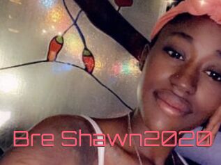 Bre_Shawn2020