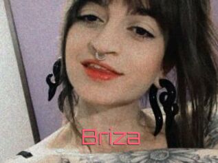 Briza