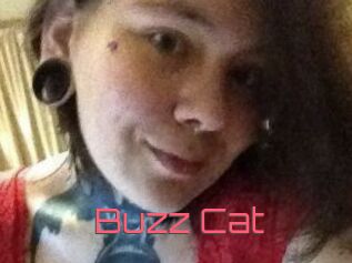 Buzz_Cat