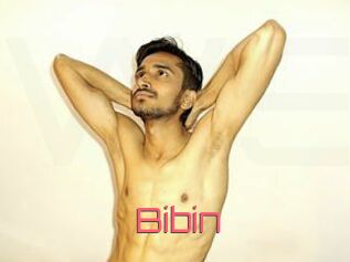 Bibin