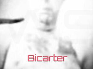 Bicarter