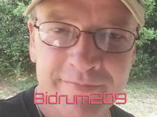 Bidrum209