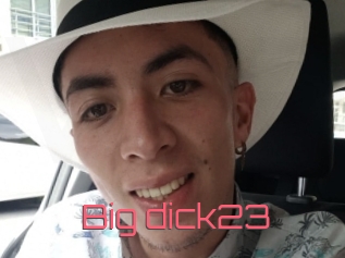 Big_dick23