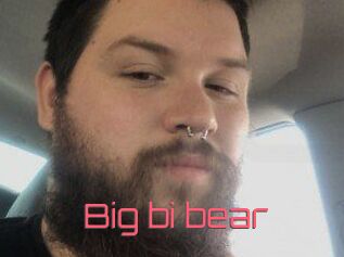 Big_bi_bear