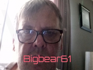 Bigbear61