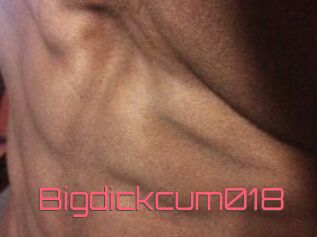 Bigdickcum018