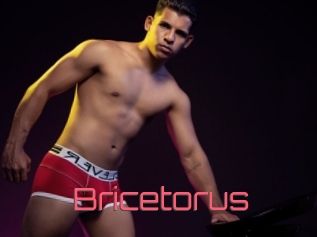 Bricetorus