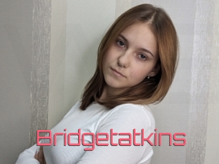 Bridgetatkins