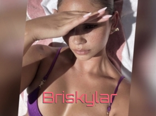 Briskylar