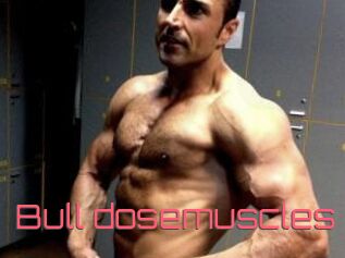 Bull_dosemuscles