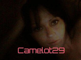 Camelot29