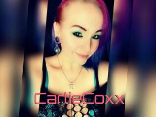 CarlieCoxx