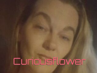 Curiousflower