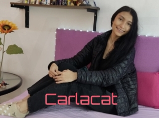 Carlacat