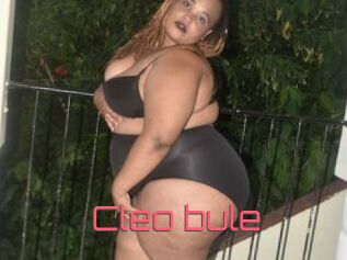 Cleo_bule