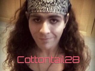 Cottontail28