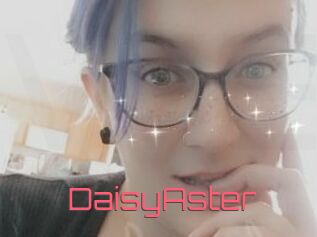 DaisyAster