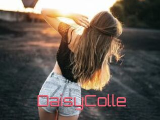 DaisyColle