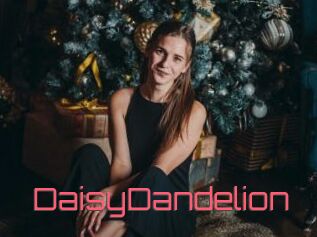 DaisyDandelion