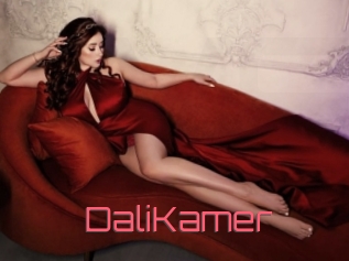 DaliKamer