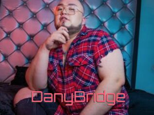 DanyBridge