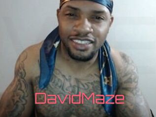 David_Maze