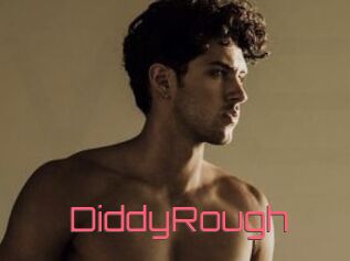 DiddyRough