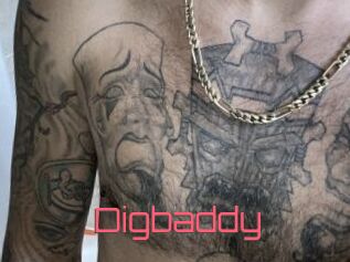 Digbaddy