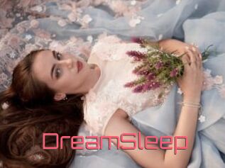 DreamSleep