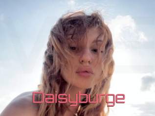 Daisyburge