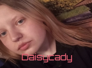 Daisycady