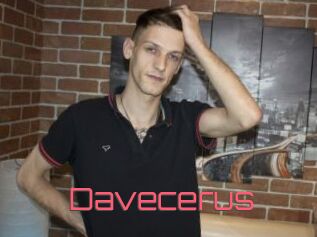 Davecerus