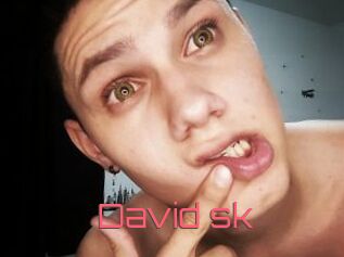 David_sk